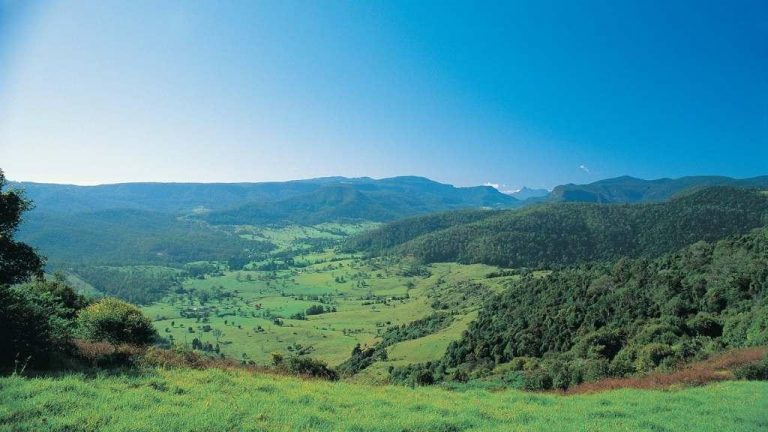 Numinbah Valley Solar